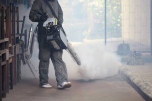 General Pest Control Services in Mumbai - Antipest 