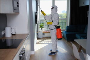 Termite Pest Control in Mumbai -Antipest